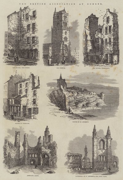 The British Association at Dundee by Samuel Read